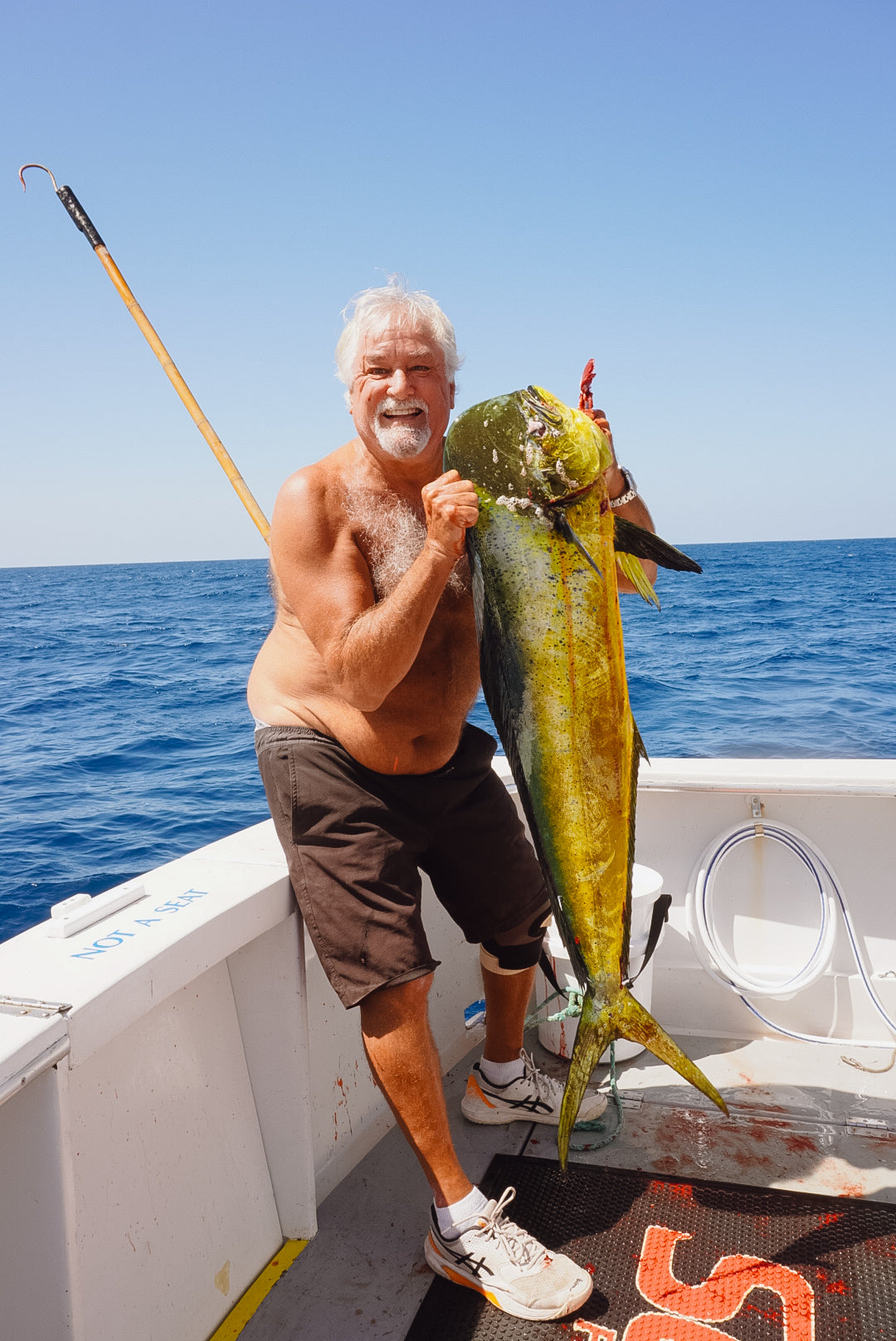Mahi mahi for pops!